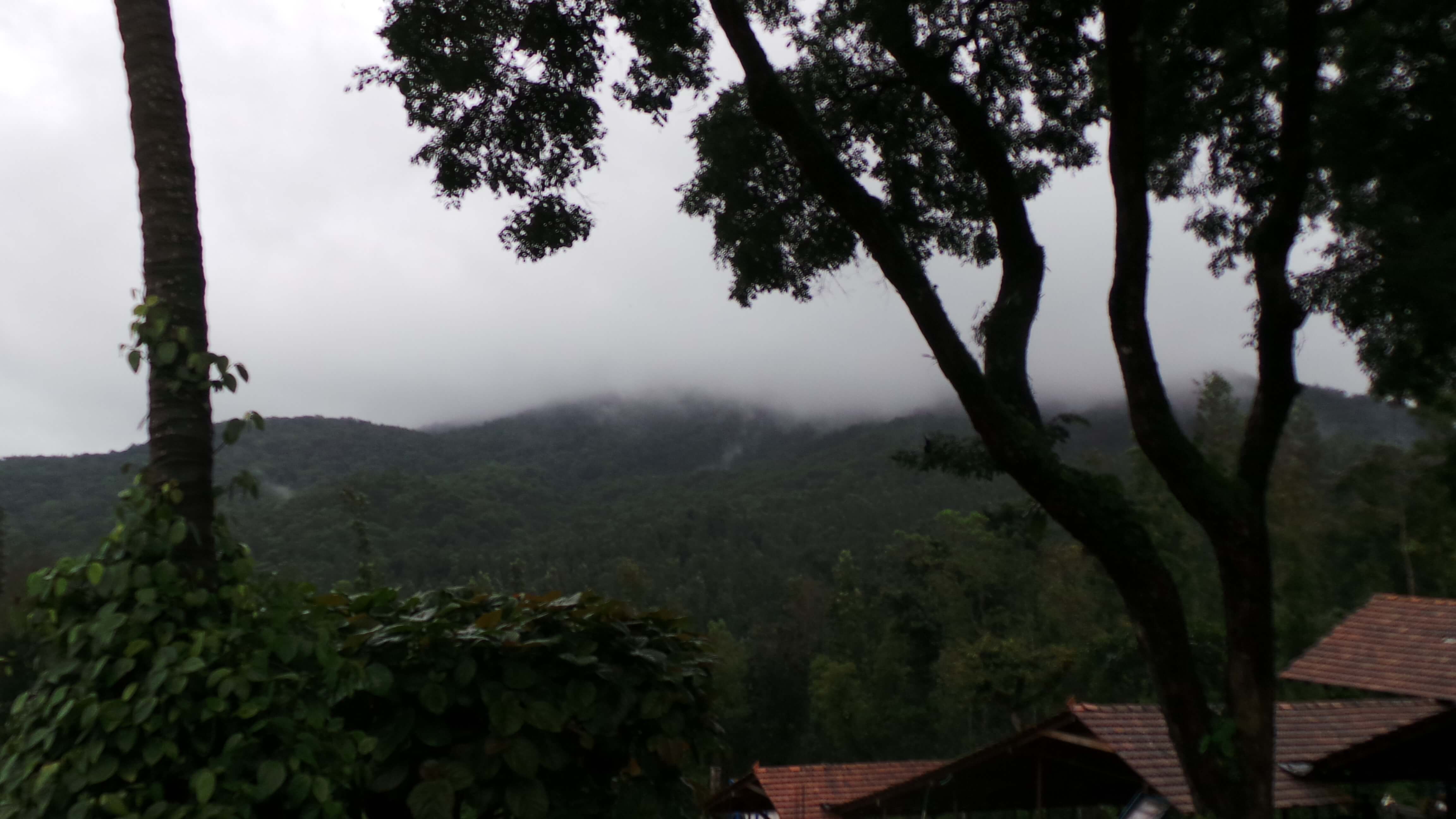 View from Balur estate Charmady ghats view