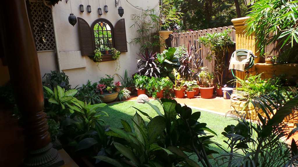Koppikers Mumbai home
Garden goals
Beautiful gardens