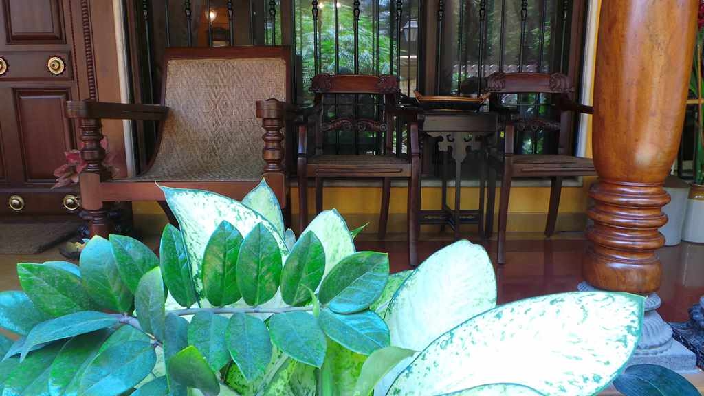Koppikers Mumbai Home
Beautiful Indian Homes
Planter chairs