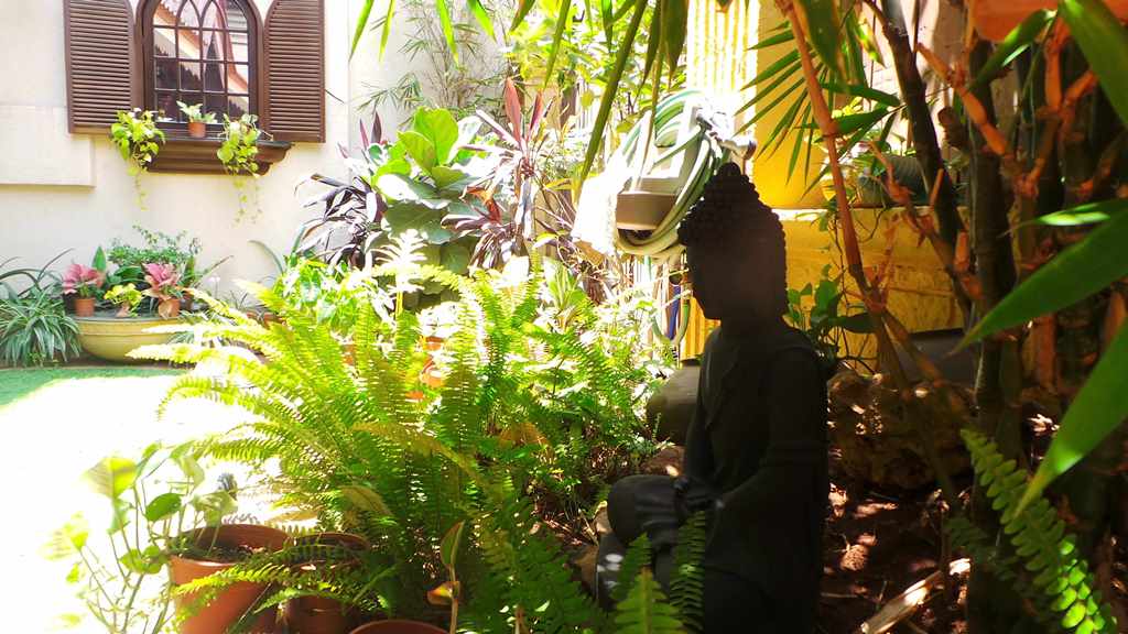 Koppikers Mumbai Home
Buddha in the garden
Vintage vibes